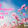 Top 10 Most Popular Flowers in the UAE And Their Meanings