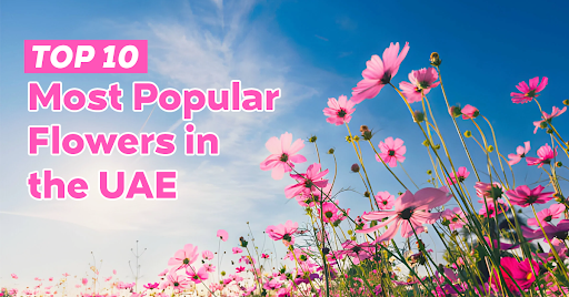 Top 10 Most Popular Flowers in the UAE And Their Meanings