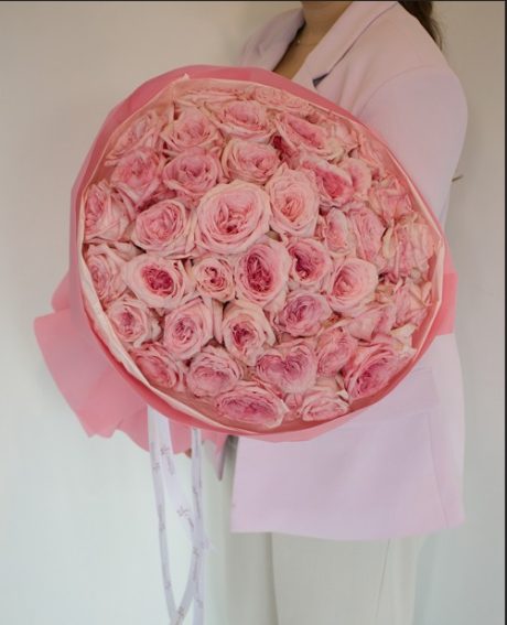 WhatsApp Image 2025-11-02 at 14.55.34