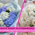 White Roses vs Hydrangeas: Which Works Better in Dubai’s Climate?