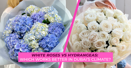 White Roses vs Hydrangeas: Which Works Better in Dubai’s Climate?